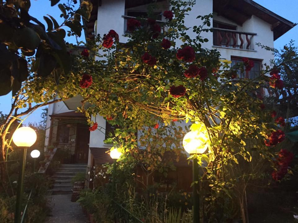 Veselata Guest House Dolna Banya Exterior photo